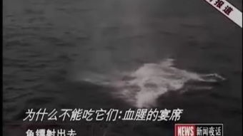 巢湖學院 學貫江淮，筑夢前行
